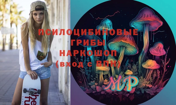 ешки Богданович