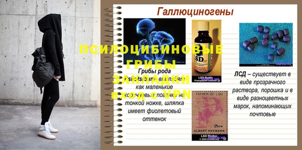 ешки Богданович