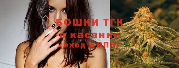 ешки Богданович